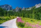 Wanderweg im schönen Österreich