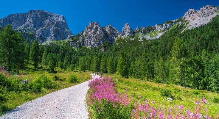 Wanderweg im schönen Österreich