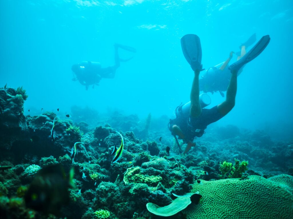 Drei Taucher unter Wasser vor Sansibar