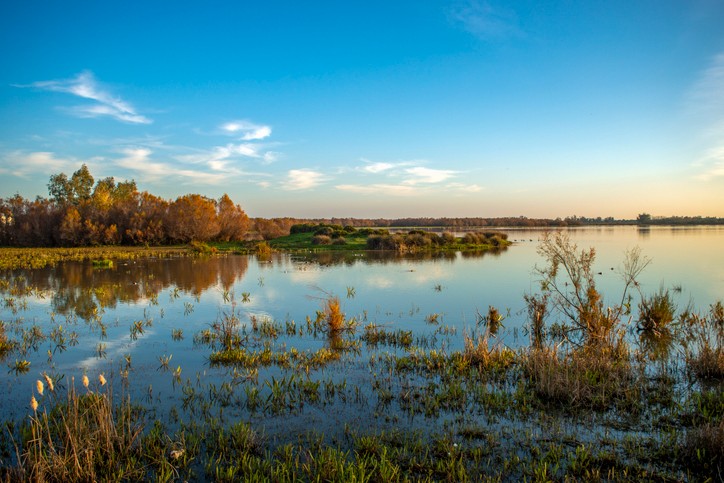 Lagunenlandschaft mit Vögeln im Donana-Nationalpark