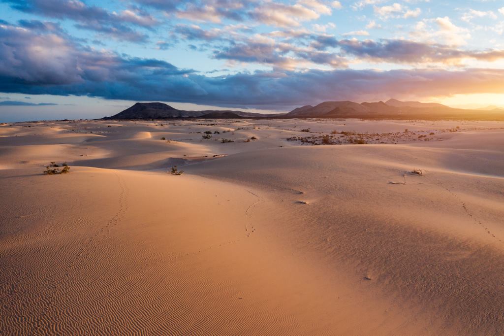 Weite Sanddünen in einer Wüstenlandschaft bei Sonnenuntergang.
