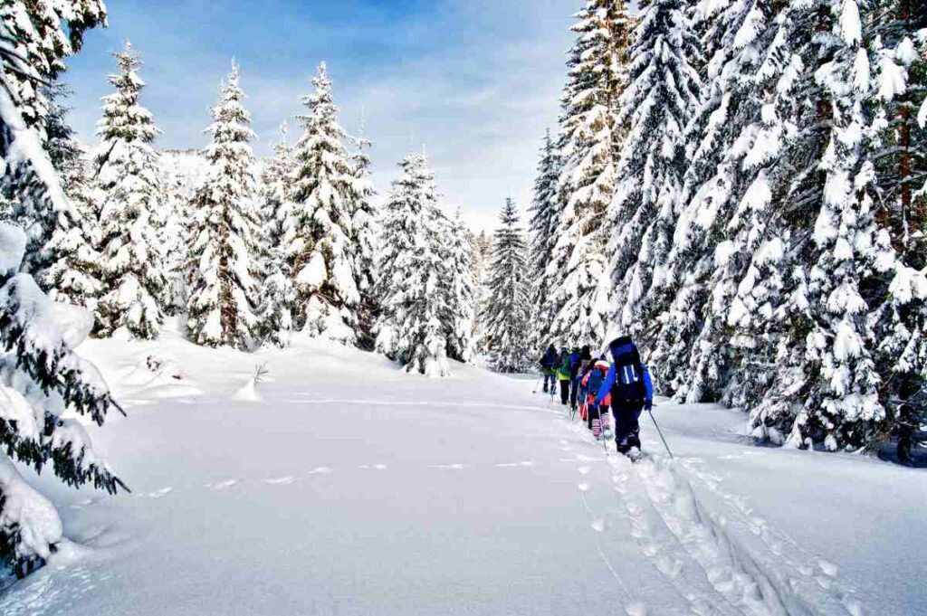 Winterwanderer folgen einem Pfad durch den tiefen Schnee im Wald.