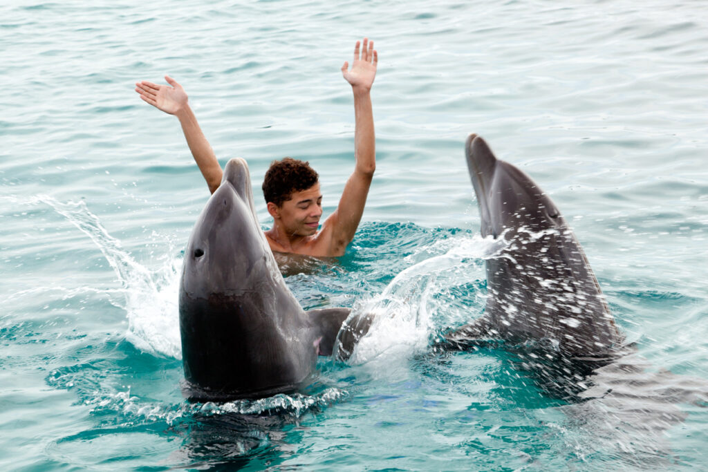 Our happy time on a tropical island. Swimming with dolphins