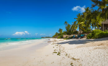 Beautifull Tropical White Sandy Beach with Azure Water on Zanzibar Island, Pingwe, Michamvi, Unguja, Tanzania, Africa