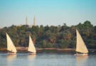 Egyptian felucca sailboats sail into the setting sun on the Nile River in Aswan Egypt
