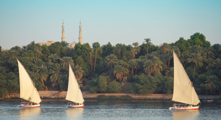 Egyptian felucca sailboats sail into the setting sun on the Nile River in Aswan Egypt