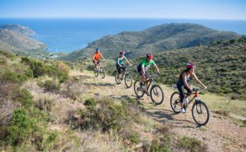 Radfahrergruppe genießt Mountainbike-Tour mit Meerblick.