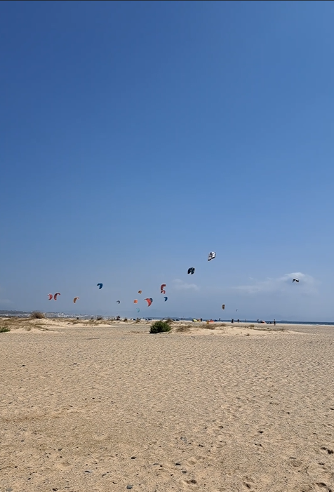 Bunte Segel von Kitesurfern am Strand von Tarifa. 