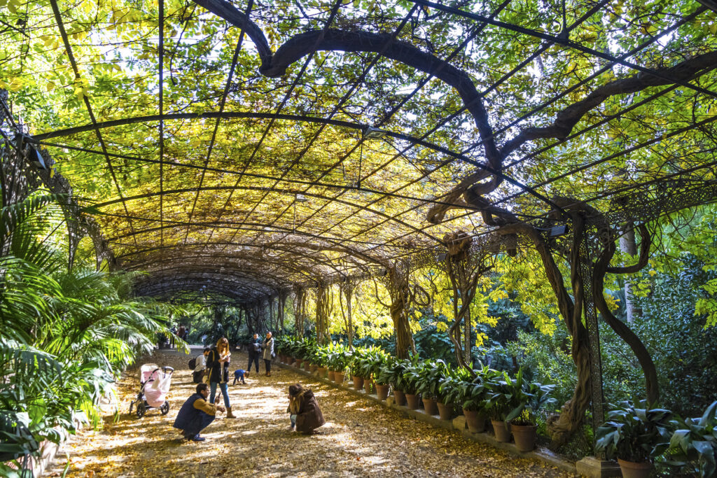 Blick auf eine Sehenswürdigkeit Málagas, den Botanischen Garten