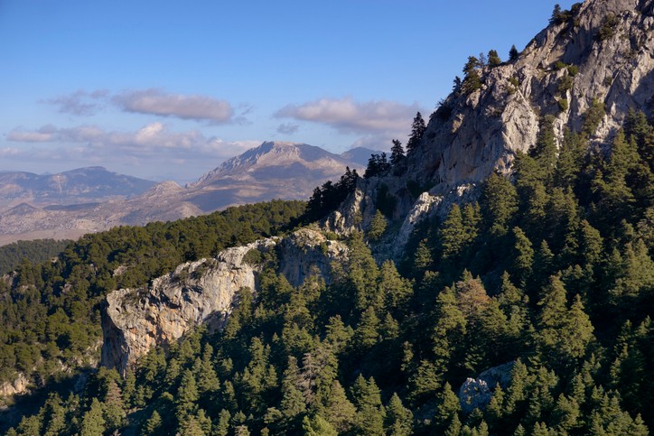 Ausblick auf den Nationalpark Sierra de las Nieves in der Provinz Malaga.