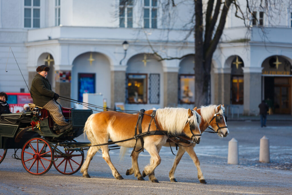 Blick auf einen Kutscher mit zwei Pferden im Winter in Salzburg. 