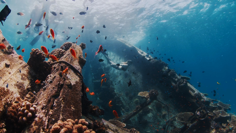 Die Unterwasserwelt von Djerba zeigt viele einzigartige Highlights. Das Bild zeigt ein altes Schiffwrack mit Tauchern und vielen kleinen, bunten Fischen.