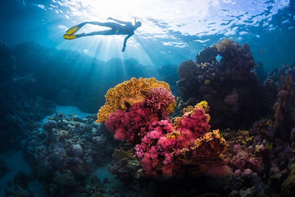 In der Unterwasserwelt von Djerba taucht man zwischen atemberaubenden Felsen und Riffen. Das Bild zeigt wunderschöne Korallenriffe in leuchtenden Farben. Unter der Wasseroberfläche taucht ein Taucher, der von den Sonnenstrahlen beleuchtet wird.