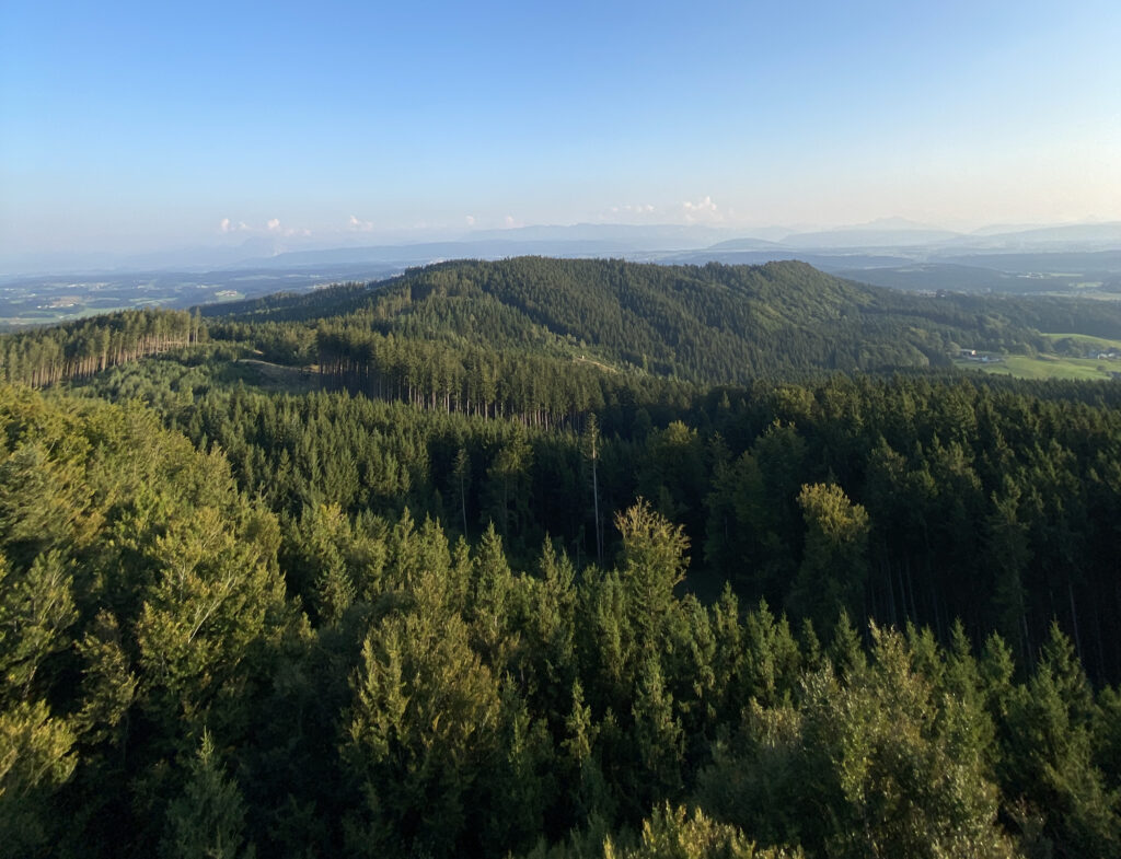 Bergpanorama mit Waldgebiet beim Aufstieg zum Göblberg. 